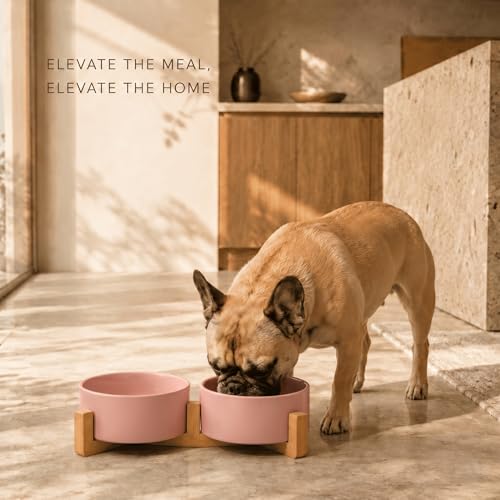 Ceramic Dog and Cat Bowl with Wood Stand Non (3.6 cups / Pink × 2)