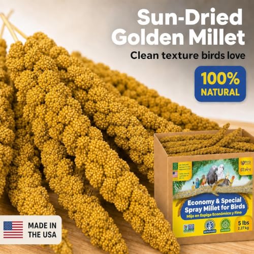 5lbs Economy & Special Spray Millet for Birds (5 Pound (Pack of 1))