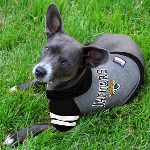 NFL Jacksonville Jaguars Hoodie for Dogs & Cats (Large / Jacksonville Jaguars)