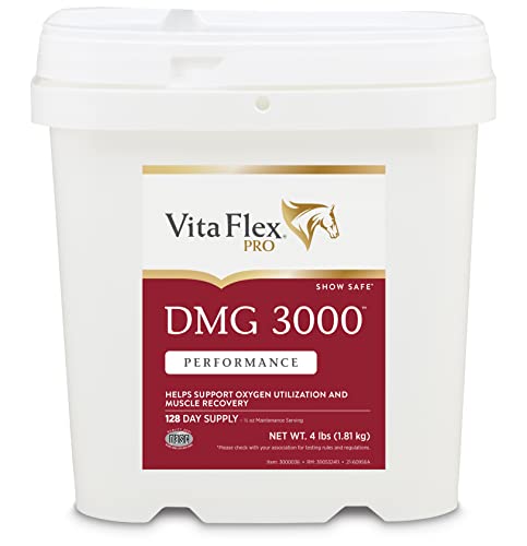 Pro DMG 3000 Horse DMG Concentrate