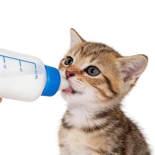 Kitten Bottle Feeding Kit