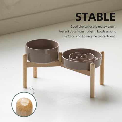 Elevated Slow Feeder Dog Bowls (Brown Coffee)