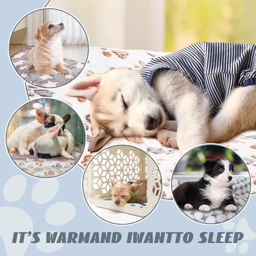 6 Pcs Washable Guinea Pig Blankets Absorbent Animal Fleece Bedding Waterproof Cage Liners Reusable Pet Pee Pad Sleep Mat Pad Cover for Hamster Ferret Rabbit Chinchilla Hedgehog (6 Black Bulk / 20" x 30")