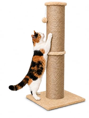 32 Inch Tall Cat Scratching Post (X-Large / Yellow)