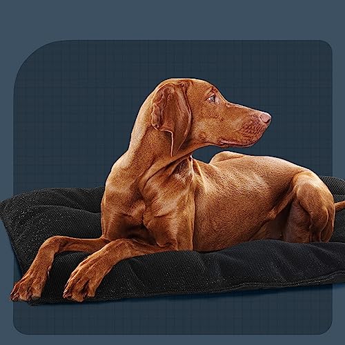 Chew Proof Indestructible Dog Beds for Aggressive Chewers (28"x41" / Black)