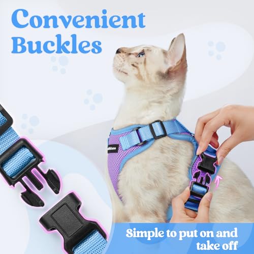 Cat Harness and Leash Set (Purple & Blue / Xs)