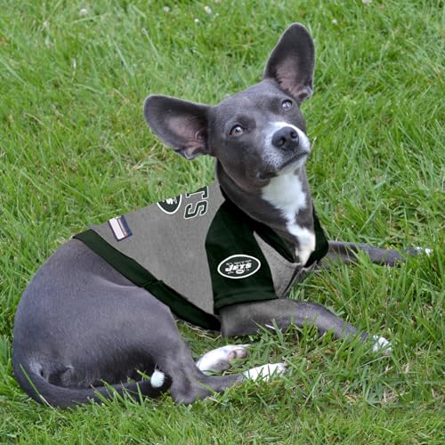 New York Jets Hoodie Tee Shirt (Large / New York Jets)