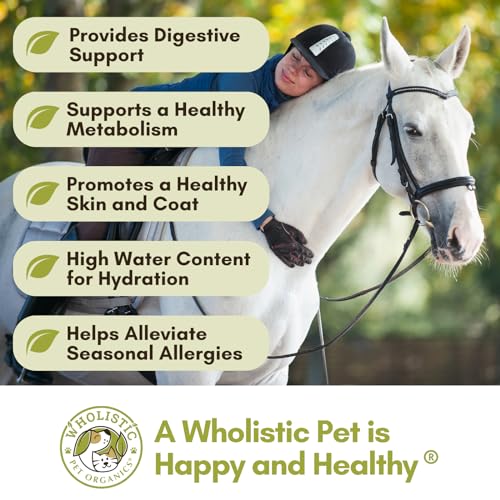 Horse Supplement for Total Body Health