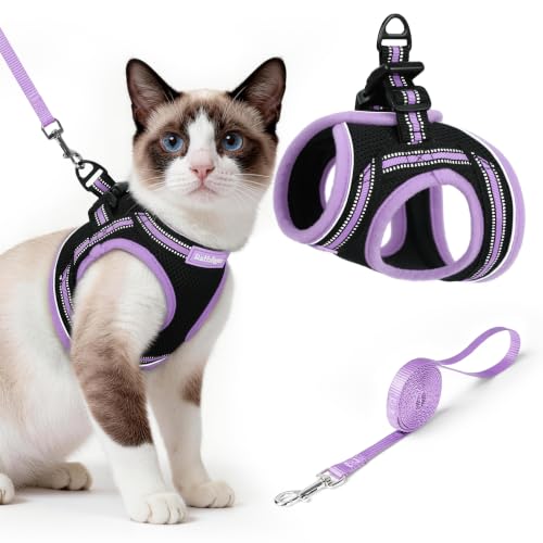 Cat Harness and Leash Set (L / Black-Light Purple)