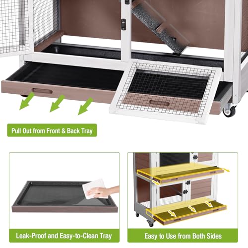 Rabbit Hutch Indoor with Chew