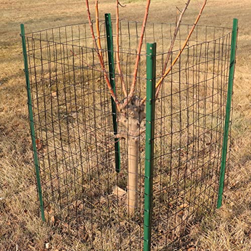 Black PVC Coated Welded Wire Fence 24" x 50' Roll (Black / 2''x3'' 16GA 24''x50')