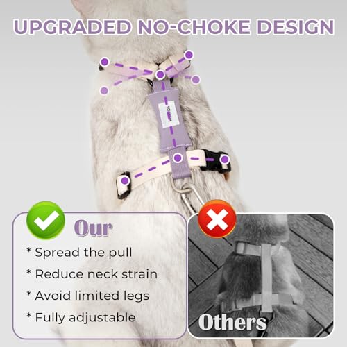 Cat Harness and Leash Set (Ivory White)