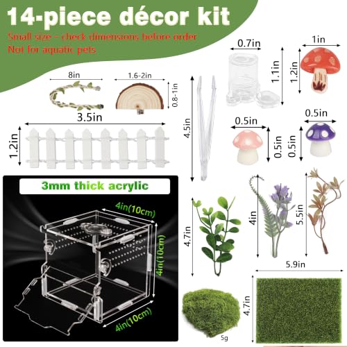 Jumping Spider Enclosure Kit 14 (Green-Scandi style)
