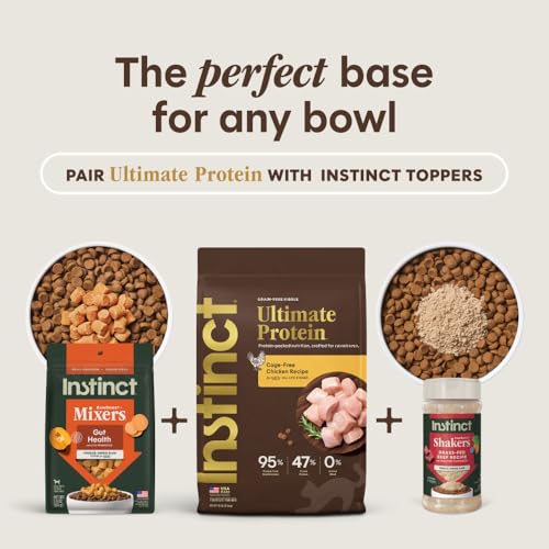 Ultimate Protein Grain Free Cage Free Chicken Recipe Natural Dry Cat Food (10 Pound (Pack of 1))