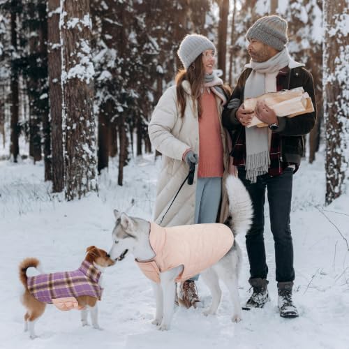 Waterproof Dog Coat (Lavender / X-Large (Pack of 1))
