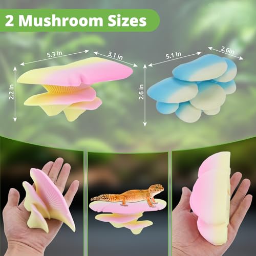 Mushroom Decor for Reptile Tank (Cluster Cap / Forest)