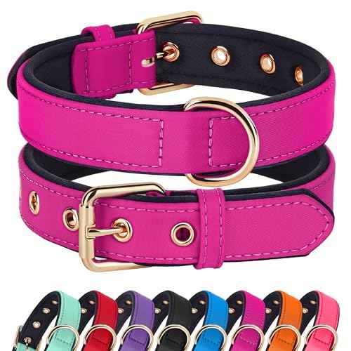 Soft Padded Dog Collars for Large Dogs (Rose Purple / XL: Fit 17-23" Neck)