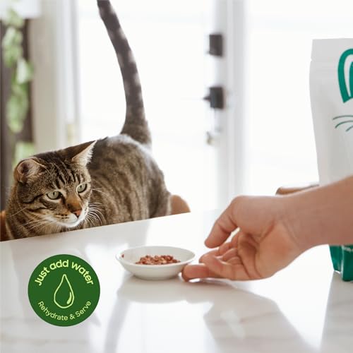 Freeze Dried Raw Cat Food (10 Ounce (Pack of 1))