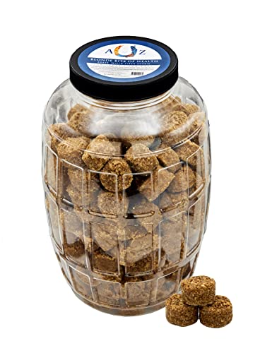 Horse Treats Blonde Bits of Health