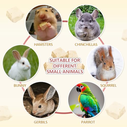 Freeze Dried Tofu for Hamsters Natural Treats Enrichment Snacks
