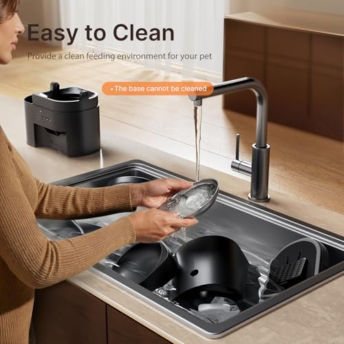 Automatic Cat Feeder and Water