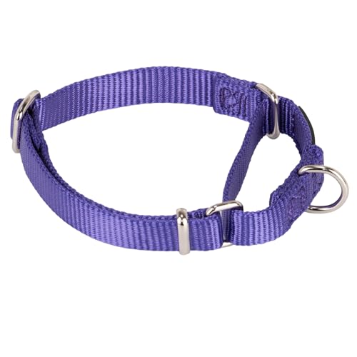 Martingale Dog Collar (Small / Ultra violet)