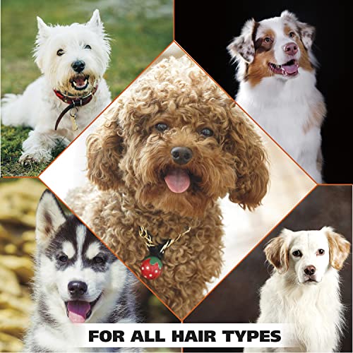 USA Dry Skin & Itch Relief Pet Shampoo for Dogs (Shampoo / 64 Ounce / Tan)