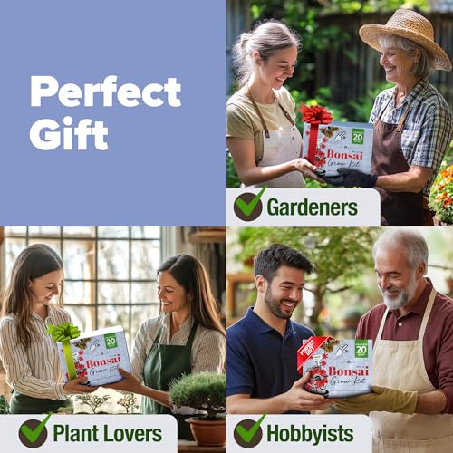 Bonsai Tree Starter Kit