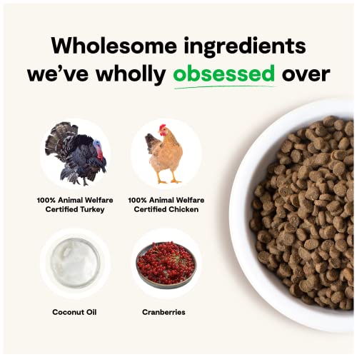 Grain Free Kitten Recipe (2 Pound (Pack of 1))