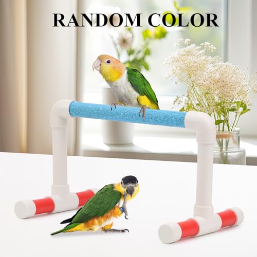 Small Bird Parrot Stand Perch Table Top Stand Playground Grind Perch Swing Training Playstand Exercise Chew Toys for Budgies Parakeet Cockatiel Conure Finch (L)