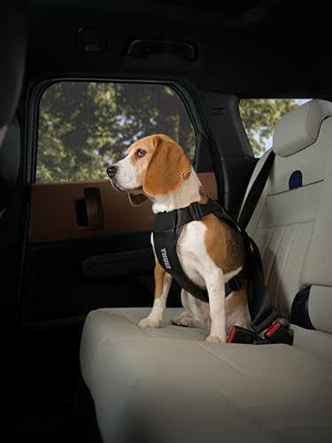 Cappy Dog Harness M (Medium)