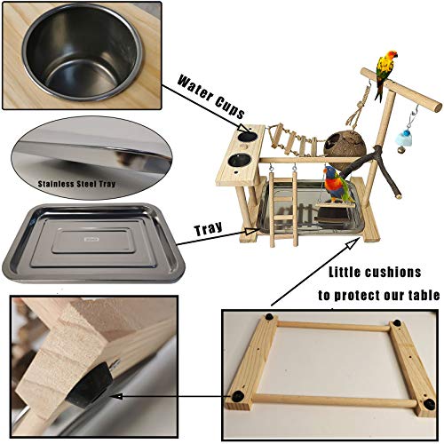 Bird Playground Parakeet Play Stand Wooden Parrot Perch Gym