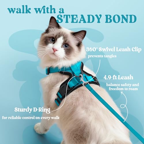 Cat Harness and Leash Set (S / Teal)