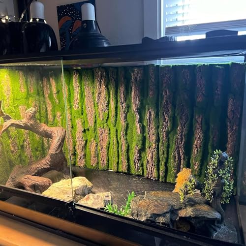 Cork Terrarium Background (【2 PCS】)