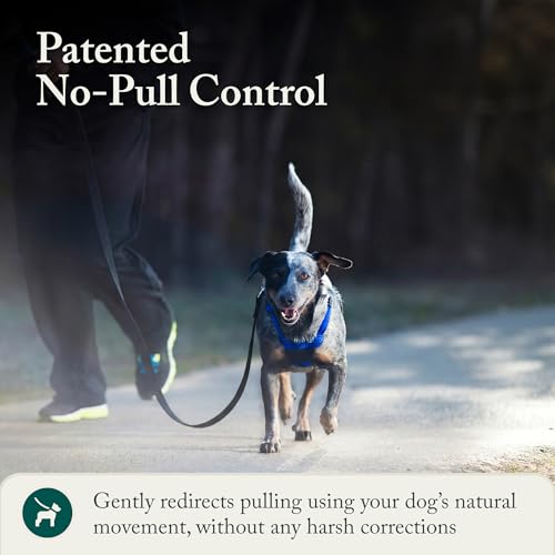 No Pull Dog Harness (Medium / Blue)