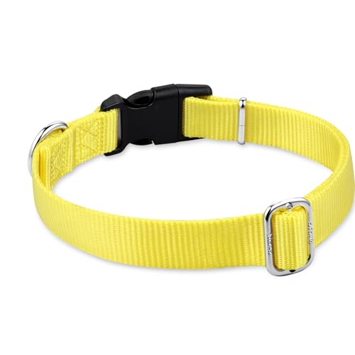 Yellow Puppy Collar (Small / Luminous Yellow)