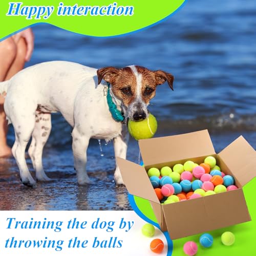 100 Pcs 2.5 Inch Squeaky Tennis Balls Bulk for Dogs Bouncy Floatable Tennis Balls Dog Playing Supplies Training Interactive Fetch Toys Indoor and Outdoor for Small Medium Puppy (Multicolor)