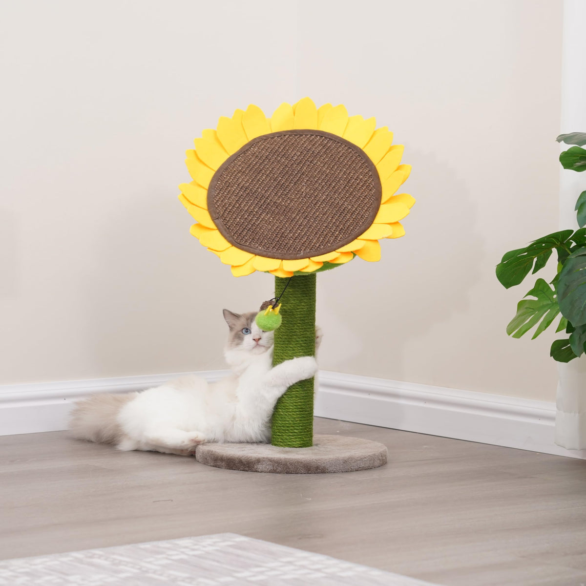 Sunflower 2 in