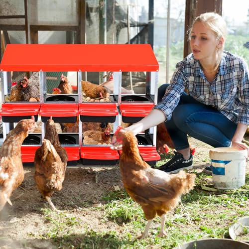 Chicken Nesting Box (Red- 8 compartment)