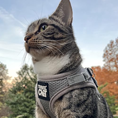 Travel Cat Harness and Leash Set (Large / Grey)