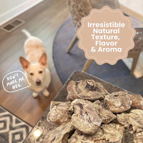 Freeze Dried Turkey Hearts Treats for Cats & Dogs