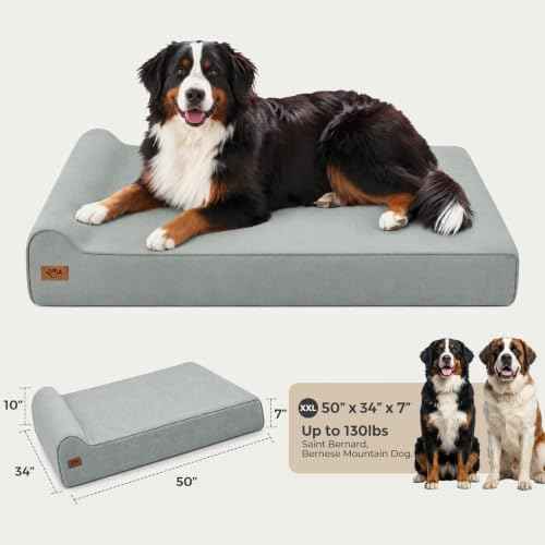 XXL 35D Memory Foam Dog Bed for Extra Large Dogs (XX-Large / Light Blue)