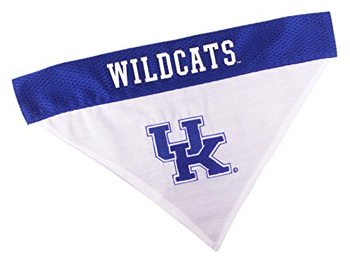 Collegiate Pet Accessories (Small/Medium / Kentucky Wildcats)