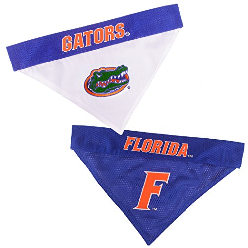 Collegiate Pet Accessories (Large/X-Large / Florida Gators)