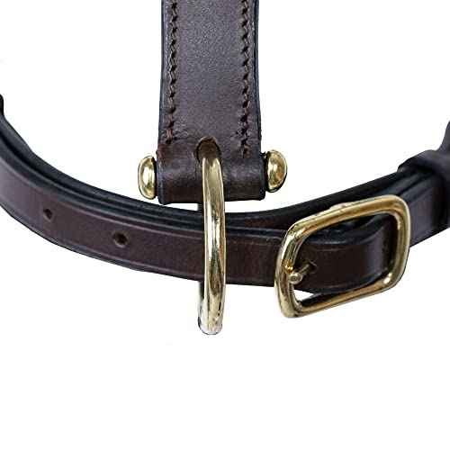 Premier Lancaster Fixed Throat Leather Halter for Horses (Full Size / Havana)