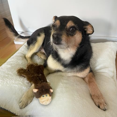 2-in-1 Stuffless Squeaky Dog Toy - Cow, Monkey, Large (Multicolor/Monkey & Cow / Large)