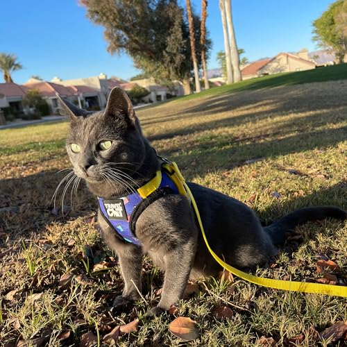Travel Cat Harness and Leash Set (Large / 90s Cat)