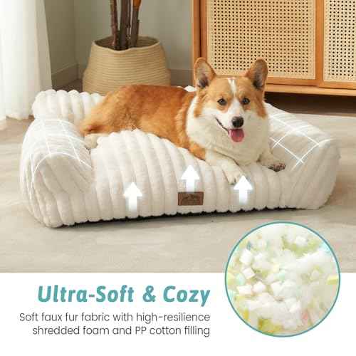 Cute Cat Couch (Cream / Small: 25.5'' x 17.5'')