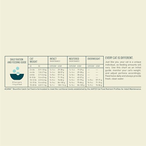 Dry Cat Food Bountiful Catch Salmon Catfish and Herring 4lb Bag (4 Pound (Pack of 1))