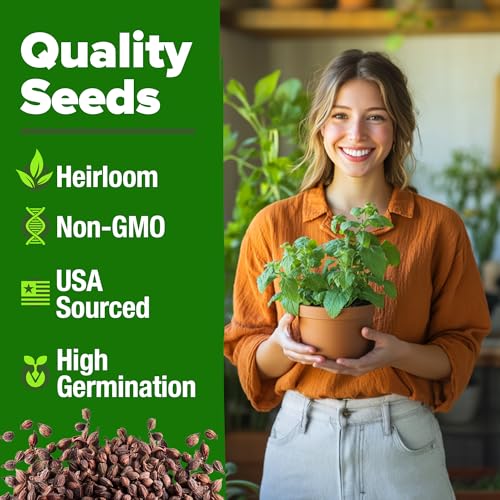Catnip Seeds 2
